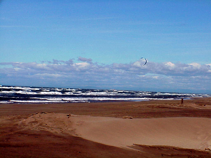2004-08 Céline Camargue 008.JPG